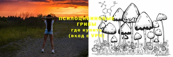 стафф Балахна